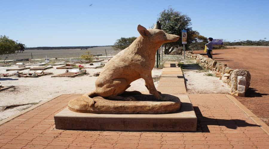 From Perth: Wave Rock, York and Aboriginal Cultural Tour - Key points to know before booking