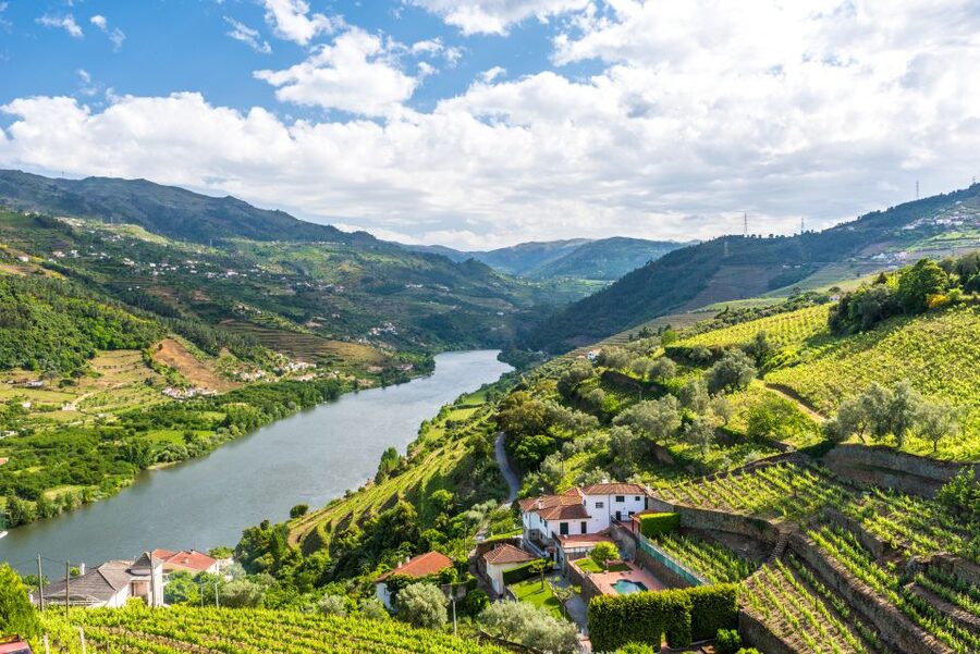 From Porto: Full-Day Douro Historical Tour - Key points to know before you go