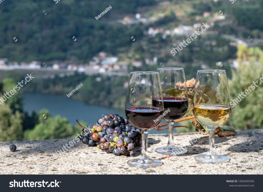 From Porto: Full-Day Douro Historical Tour - Amarante and the first taste of northern Portugal