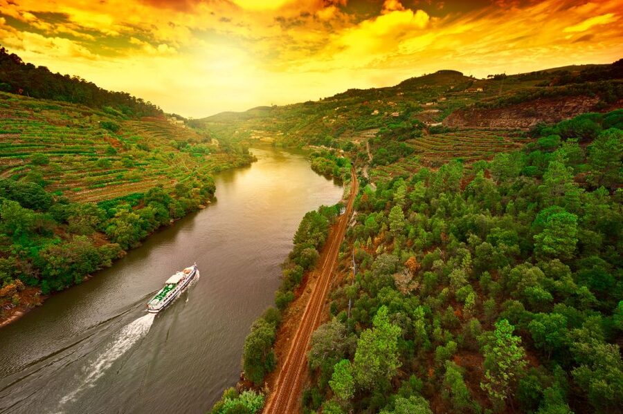 From Porto: Full-Day Douro Historical Tour - A local lunch with room for improvement