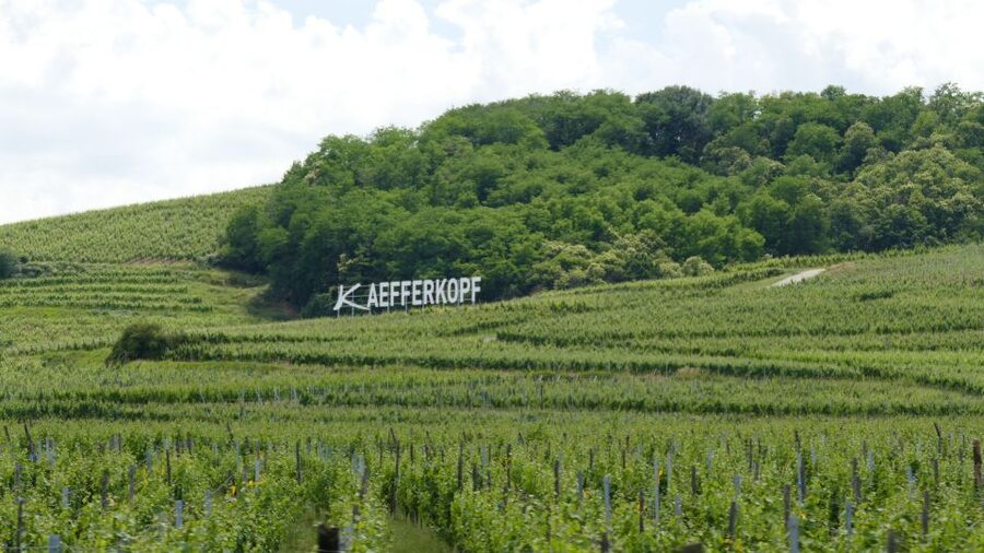 From Strasbourg: Best Of Alsace Historical Day Trip - Key points at a glance