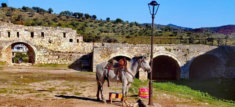 From Tirana: Berat UNESCO Heritage & Belshi Lake Tour - Key points to know before booking