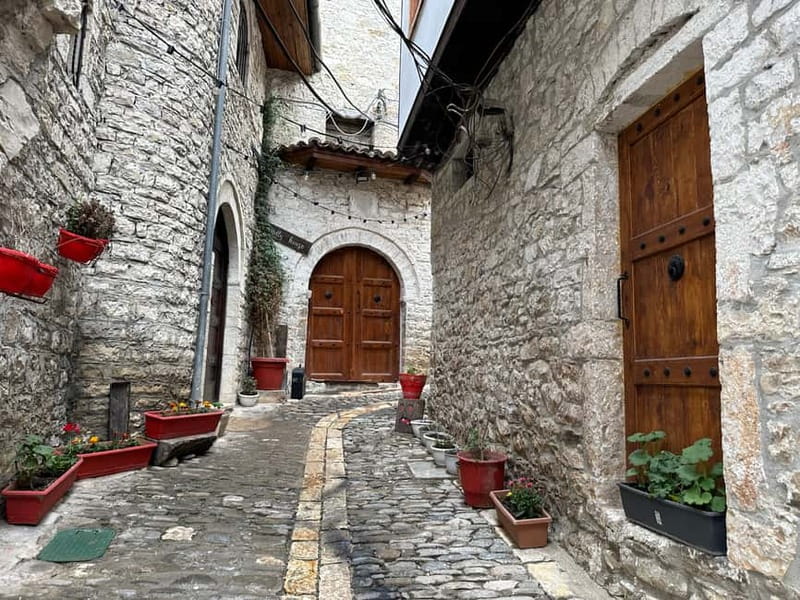 From Tirana: Berat UNESCO Heritage & Belshi Lake Tour - Berat Castle is the day’s essential stop