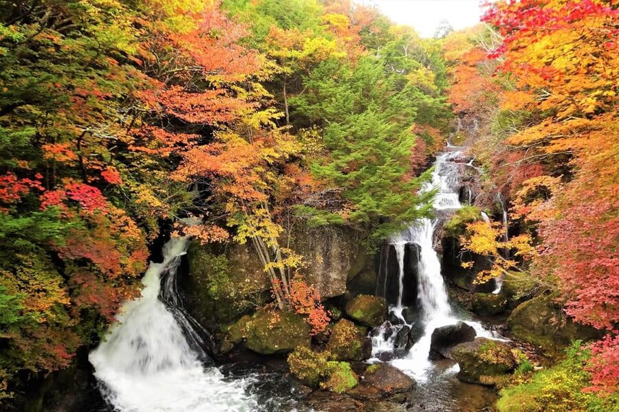 From Tokyo: Nikko World Heritage Site Private Full-Day Trip - The ride from Tokyo: comfort with a traffic warning