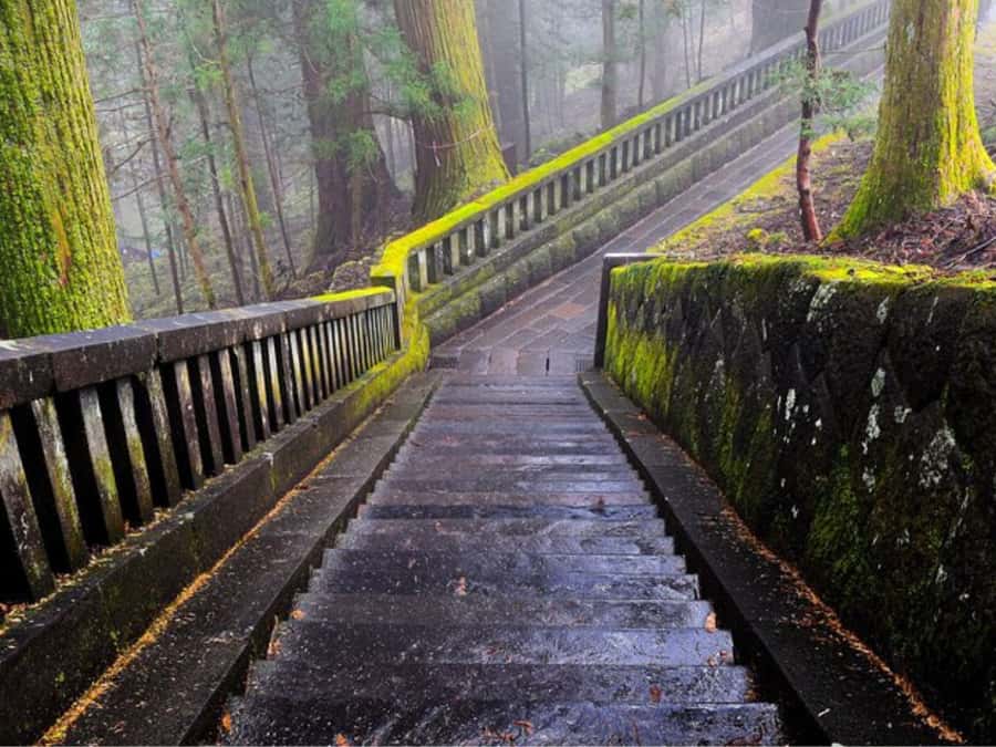 From Tokyo: Private Nikko World Heritage Sights One Day Trip - Kegon Falls, Nikko’s big visual moment