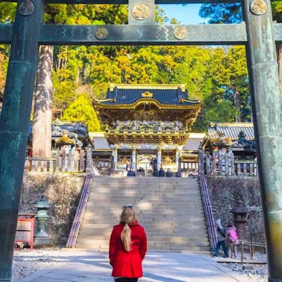 From Tokyo: Private Nikko World Heritage Sights One Day Trip - Optional additions: Edo Wonderland and Kamangafuchi Abyss