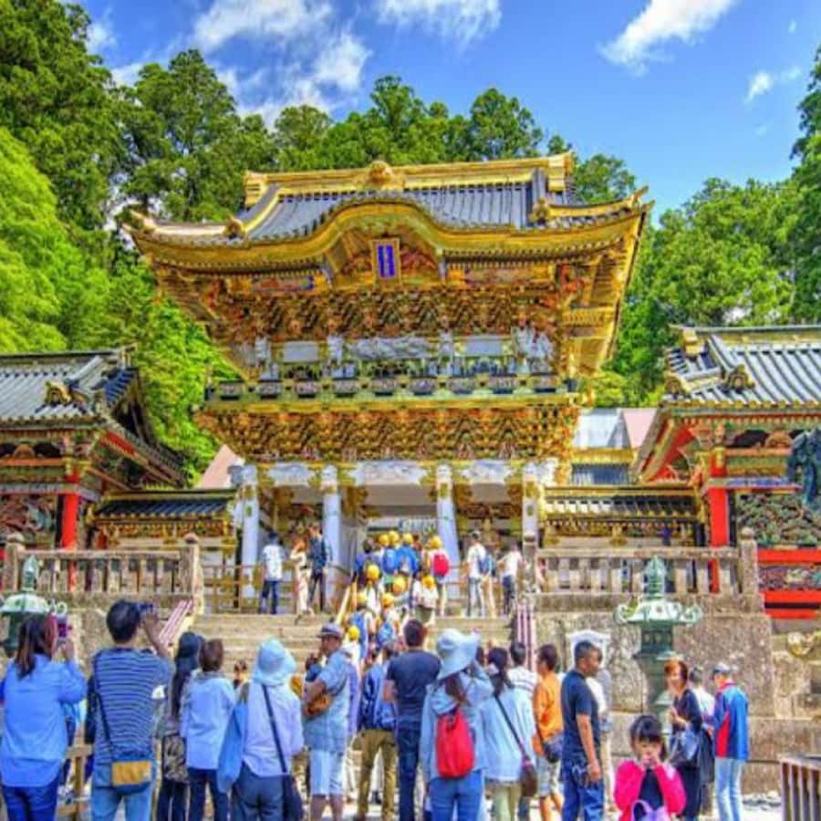 From Tokyo: Private Nikko World Heritage Sights One Day Trip - The guides and the level of service