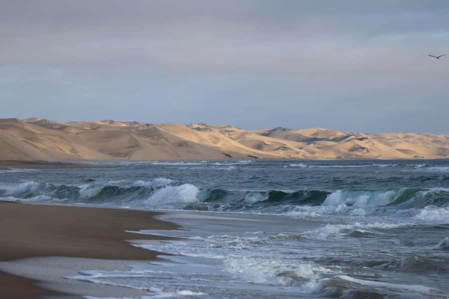 From Walvis Bay: Sandwich Harbour World Heritage Site - Key things to know before you book