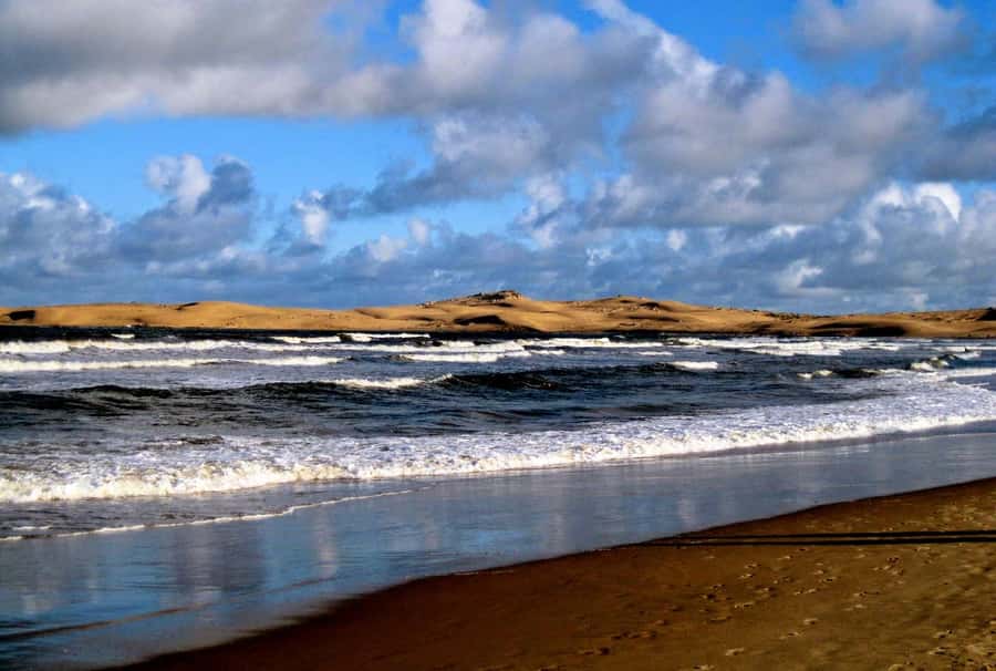 From Walvis Bay: Sandwich Harbour World Heritage Site - From Walvis Bay Lagoon to the open coast