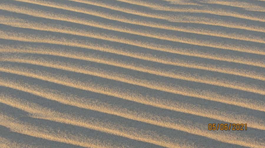 From Walvis Bay: Sandwich Harbour World Heritage Site - Is the $153 price good value?
