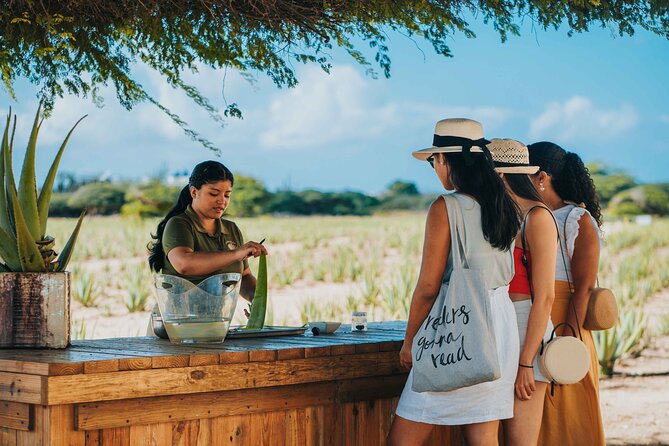 Full-Day Aruba History and Must-See Landmarks Tour - Aruba Aloe Factory: a useful cultural opening