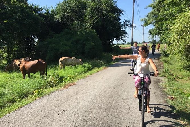 Full Day Cycling tour to Sukhothai Historical Park - Entering the historical park by bicycle