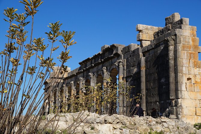 Full-day Historical Meknes Volubilis and Moulay Idriss Tour - Why this Fez day trip makes sense