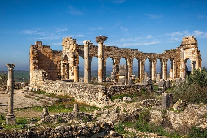 Full-day Historical Meknes Volubilis and Moulay Idriss Tour - How to get better value from the $34.89 price