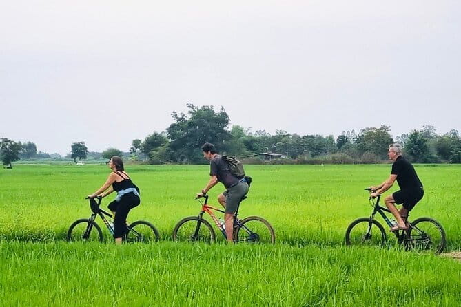 Full-Day Historical Park and Countryside Tour in Sukhothai - Wat Sri Chum and the giant Buddha