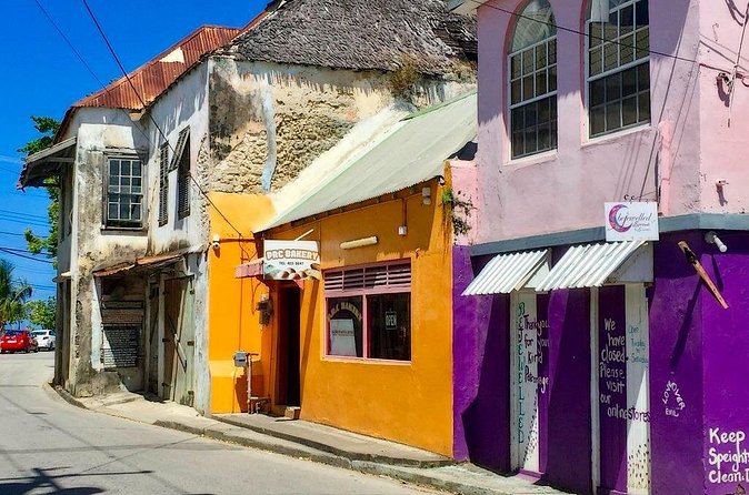 Full-Day Natural Heritage Tour in Barbados with Lunch - Morgan Lewis Sugar Mill is brief but meaningful