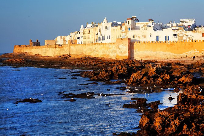 Full-Day Tour to Essaouira - The Ancient Mogador City from Marrakech - Key points to know before you book