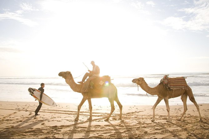 Full-Day Tour to Essaouira - The Ancient Mogador City from Marrakech - Is $115.15 a fair price?
