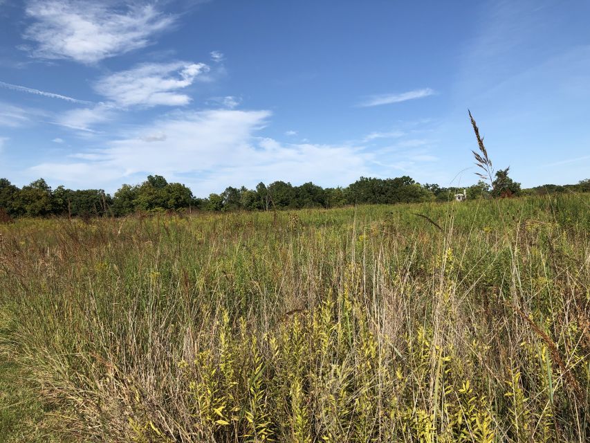 Gettysburg: Beer, Wine, and History Guided Walking Tour - Fourscore Beer Co. and the patio break