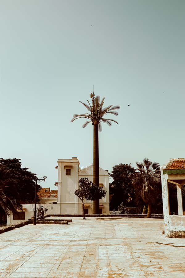 Goree Island: discover Senegalese history and culture - Why Gorée Island matters