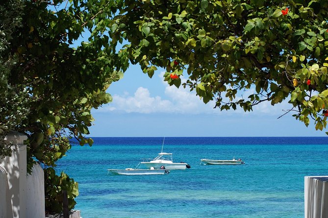 Grand Turk Historical Sightseeing Tour by Tram - Why this is a useful first look at Grand Turk
