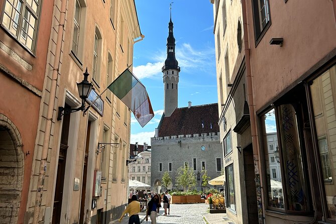 Guided Old Town Tallinn Historical Walking Tour - What the guides do best