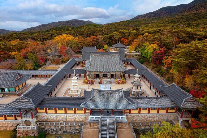 Gyeongju UNESCO World Heritage Guided Day Tour from Busan - Hwangnidan-gil adds food, coffee, and shopping