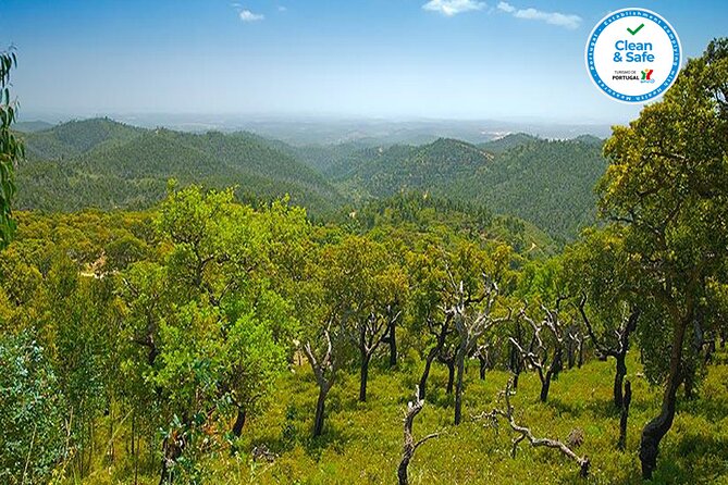 Half Day Historical Tour to Silves and Monchique - Foia, the Algarve’s highest point