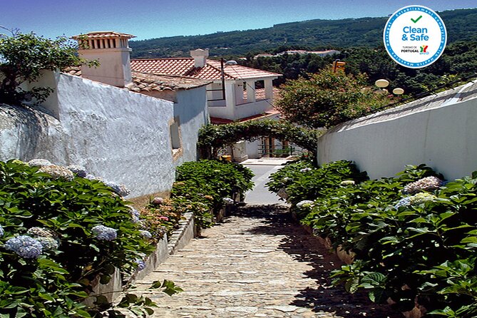 Half Day Historical Tour to Silves and Monchique - How much value do you get for $78.31?