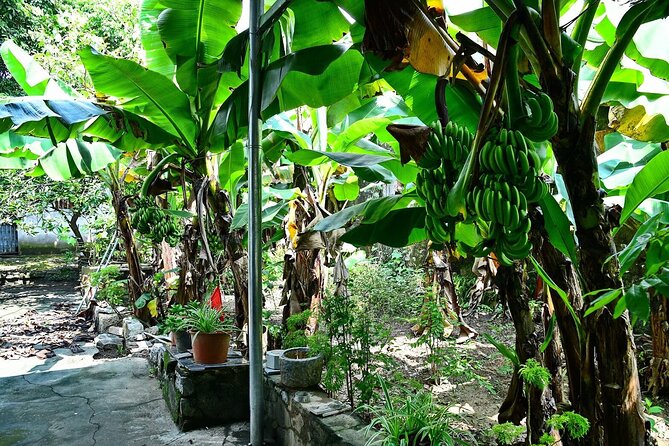 Hanoi Full Day A Private Tour With Mix of History and Activities - Coffee near Hanoi’s Train Street