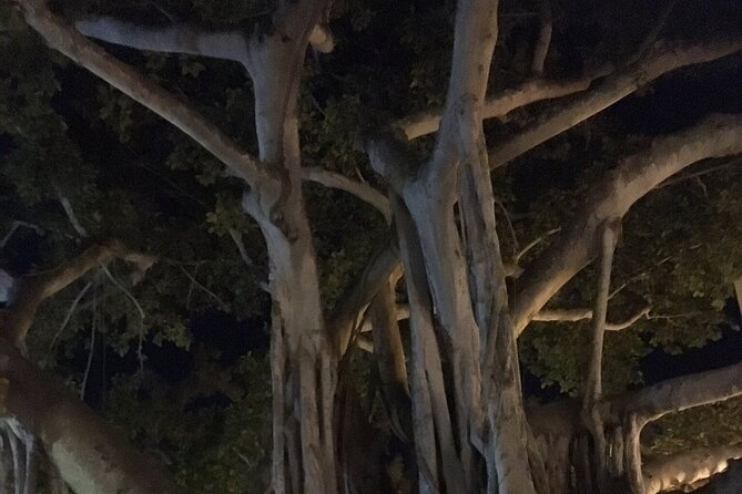 Haunted History of Fort Myers Walking Tour - A comfortable pace, with some walking required