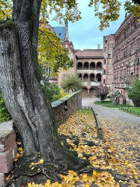 Heidelberg: Discover Heidelberg Castle – experience history up close - Riding the mountain railway to the castle
