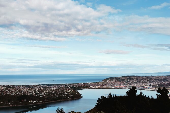 Heritage City and Larnach Castle Van tour with Historian Guide - Queens Gardens and High Street’s old houses