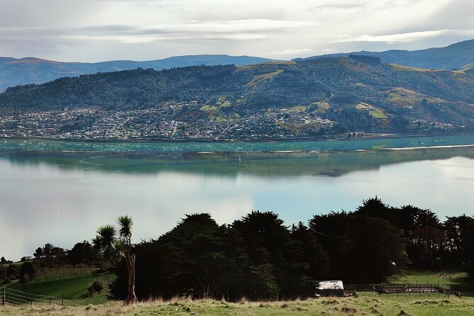 Heritage City and Larnach Castle Van tour with Historian Guide - Larnach Castle and its gardens