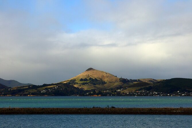 Heritage City and Larnach Castle Van tour with Historian Guide - Price, group size, and cruise-port value