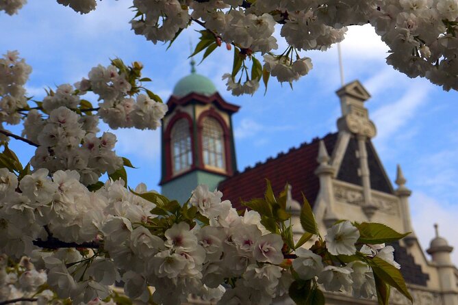 Heritage Dunedin City Walking Guided Tour - Princes Street, stone carvings, and the Exchange
