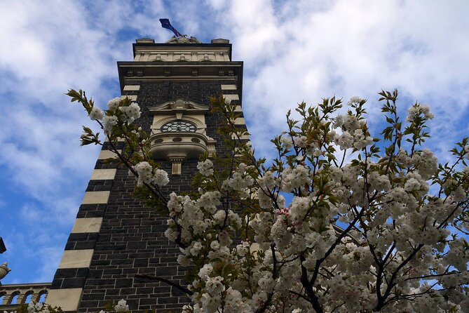 Heritage Dunedin City Walking Guided Tour - Speight’s Brewery and Dunedin’s oldest pub