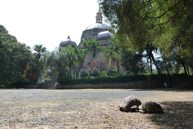 Hidden Treasures of Addis Ababa - Food, Culture and History Tour - What makes this Addis Ababa day special