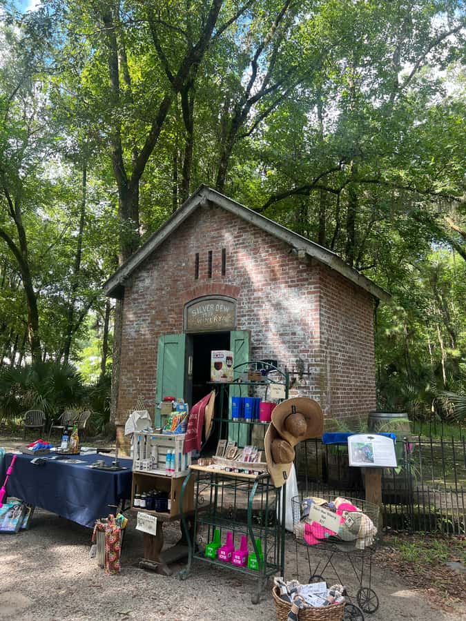 Hilton Head: Daufuskie Island History & Artisans Tour - Five things to know before you go