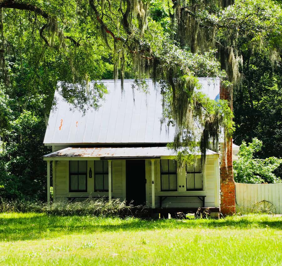Hilton Head: Daufuskie Island History & Artisans Tour - Who will enjoy this island outing