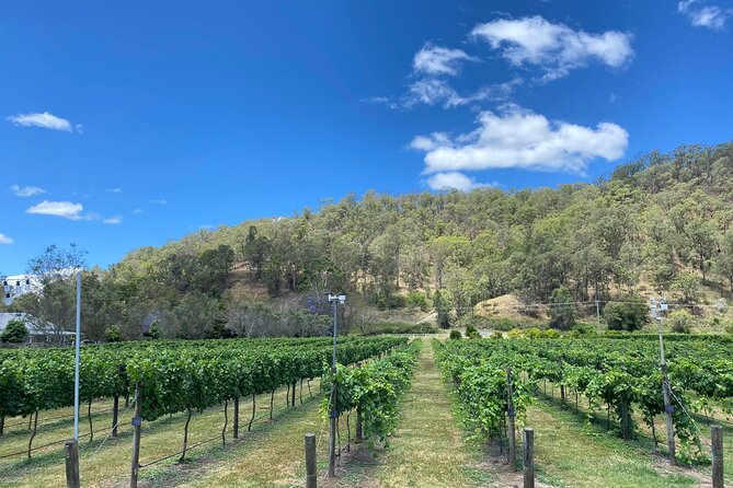 Hinterland Heritage Wine Tour - Mount Nathan Winery and the honey wine