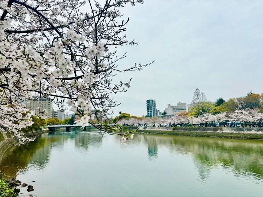 Hiroshima: History of Hiroshima Group Walking Tour - Children’s Peace Monument and the story of Sadako