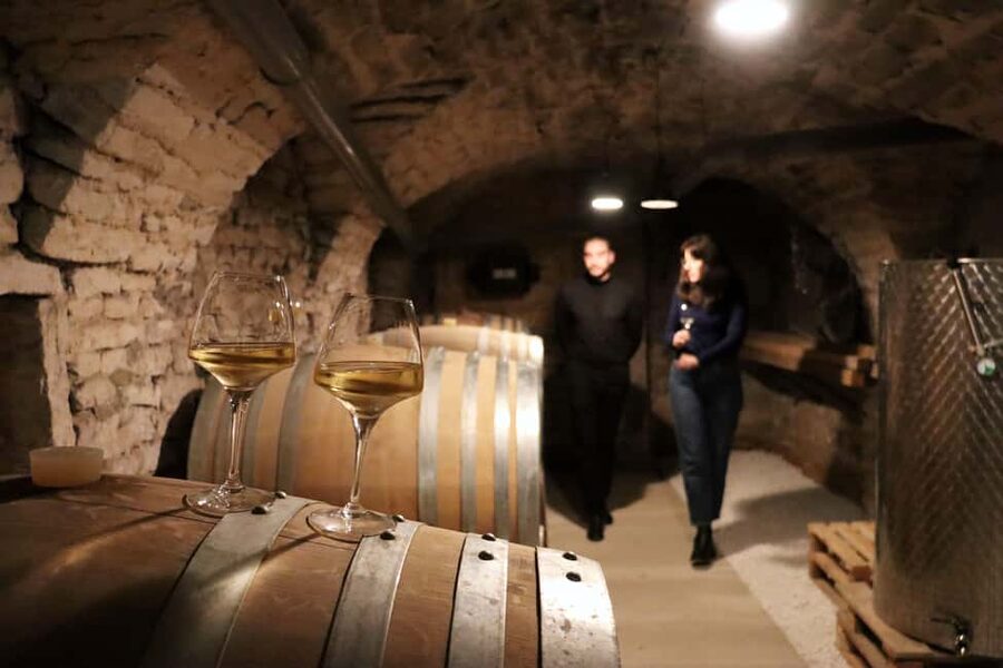 Historic Center of Dijon : Discovery Tasting Wine Burgundy - Key points to know before booking