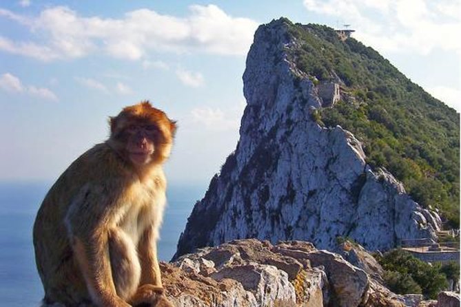Historic Gibraltar Rock and St Michael's Cave Tour from Seville - What the 4.3 rating tells you