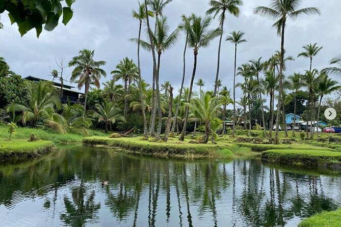 Historic Hilo Bay and Coconut Island Guided Kayak Adventure - Why this Hilo paddle is different