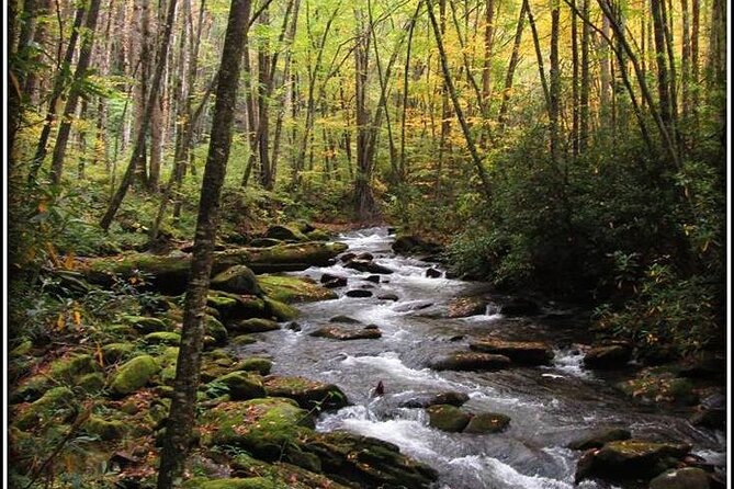 Historic River Town Ramble - Starting at Sugarlands Visitor Center in Gatlinburg