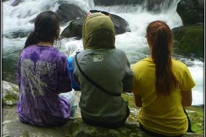 Historic River Town Ramble - Learning plants, wildlife, and mountain stories