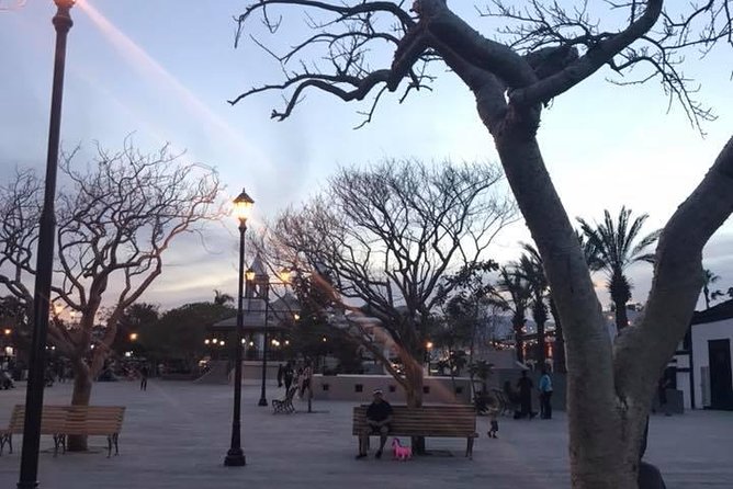 Historical and Cultural Walking Tour of San José del Cabo - Public art and the people of San José