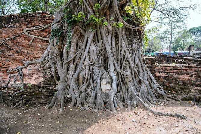 Historical City of Ayutthaya - Unesco Full Day Tour From Bangkok - Wat Yai Chai Mongkhon and its imposing prang