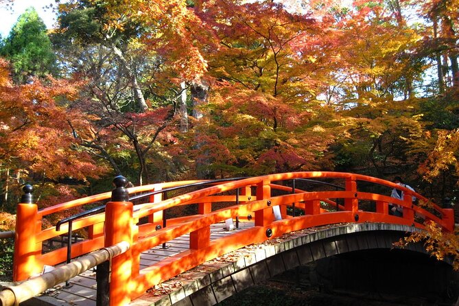 Historical Kyoto E-Bike Tour - Riding west toward Arashiyama Bamboo Grove